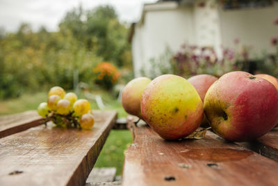 Close-up of fruits on table