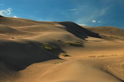 Idyllic shot of sand dunes in desert