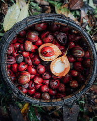 Close-up of chestnuts