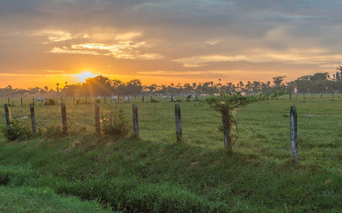 Scenic view of field against sky during sunset