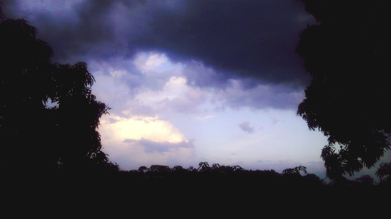 silhouette, sky, tree, cloud - sky, tranquility, tranquil scene, beauty in nature, scenics, cloudy, nature, dusk, low angle view, cloud, dark, weather, overcast, storm cloud, dramatic sky, idyllic, outdoors