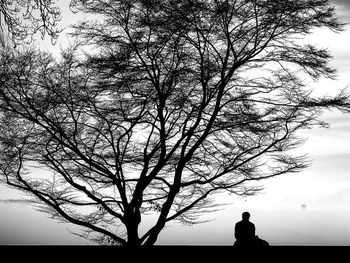 Low angle view of bare trees against sky