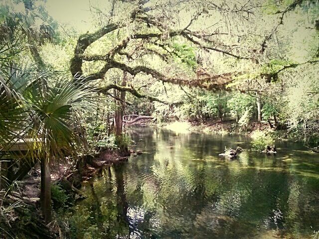 Hillsborough River