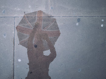 High angle view of wet puddle on street