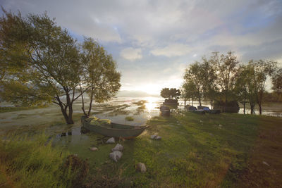 Boats moored by lake against sky