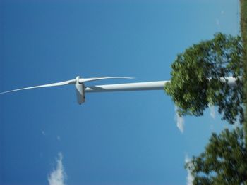 Low angle view of tree against blue sky