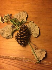 High angle view of flowering plant on table