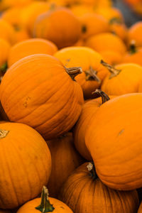 Close-up of pumpkins for sale at market stall