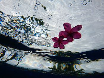 Close-up of rippled water in lake