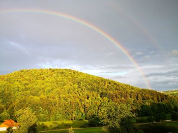 Scenic view of rainbow over trees against sky