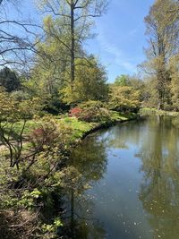 Scenic view of lake in forest against sky