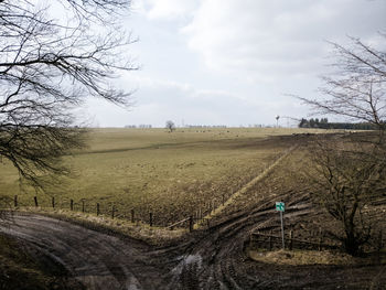 Scenic view of field against sky