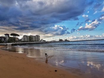 Scenic view of beach against sky during sunset