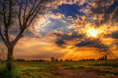 Scenic view of field against dramatic sky