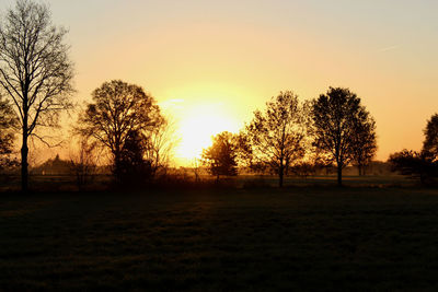 Silhouette trees on field against sky during sunset