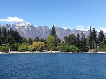 Scenic view of lake by trees against sky