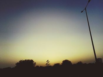 Silhouette of trees at sunset