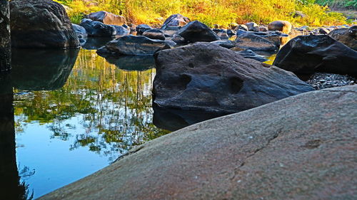 Surface level of rocks by river in forest