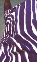 Close-up of zebra crossing