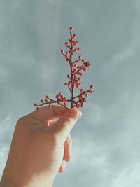 Low angle view of cropped hand against clear sky