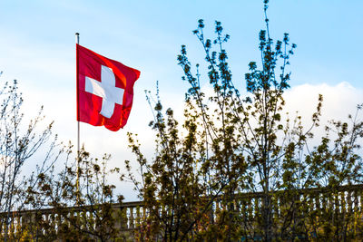 Low angle view of red flag on tree against sky