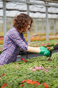 Side view of woman working in greenhouse