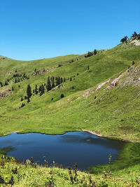 Scenic view of landscape against clear blue sky