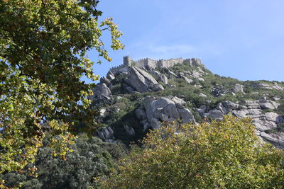 Low angle view of rock formation amidst trees against sky