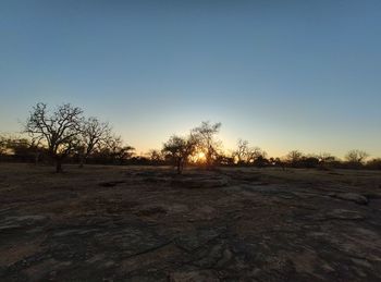 Scenic view of field against clear sky during sunset