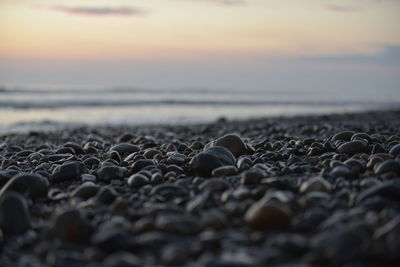 Surface level of pebbles on beach