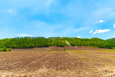 Scenic view of agricultural field against sky