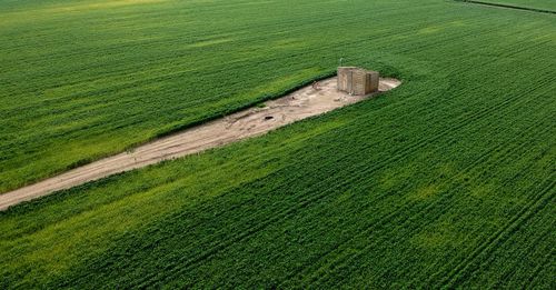 High angle view of grassy field