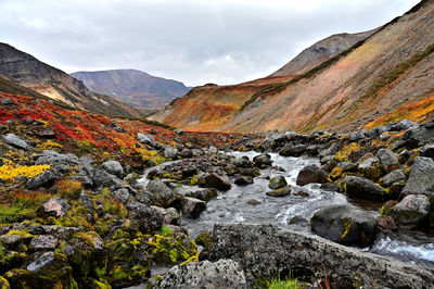 Amazing colors of the mountain tundra in autumn in