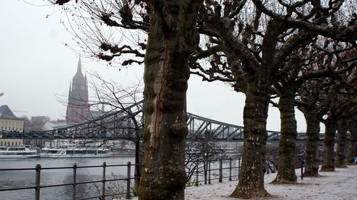 River amidst trees in city against sky