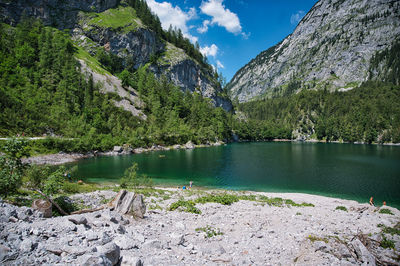 Scenic view of lake by trees against sky