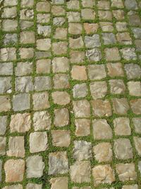 Full frame shot of tiled floor