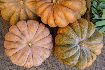 High angle view of pumpkins in market