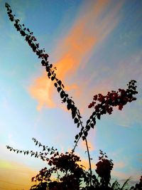 Low angle view of silhouette tree against sky during sunset