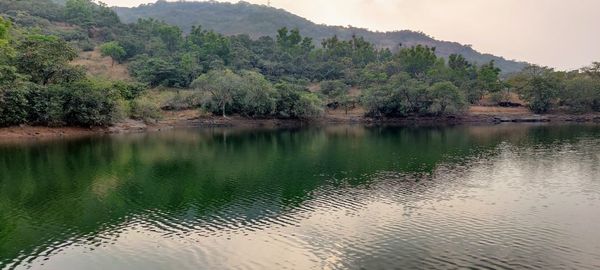 Scenic view of lake by trees against sky