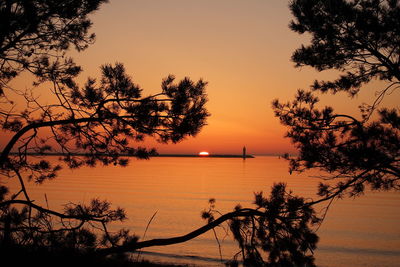 Silhouette trees by balticsea against romantic sky at sunrise