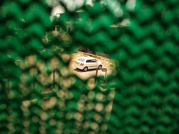 High angle view of toy hanging on wall