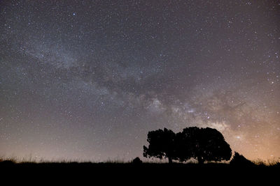 Low angle view of silhouette trees against sky at night