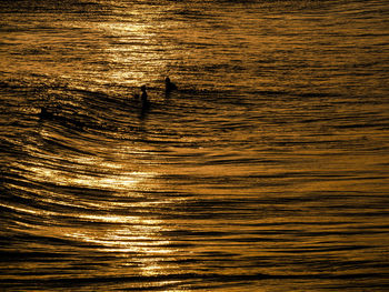 High angle view of people swimming in sea during sunset