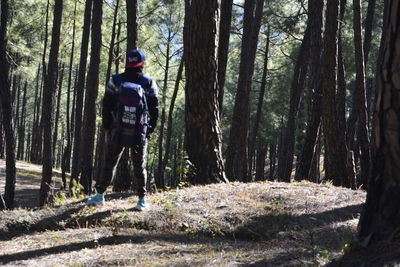 Rear view of man amidst trees in forest