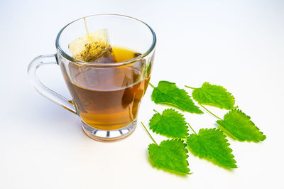 Nettle infusion in transparent cup, a sachet in water, a white saucer  and nettle leaves. 