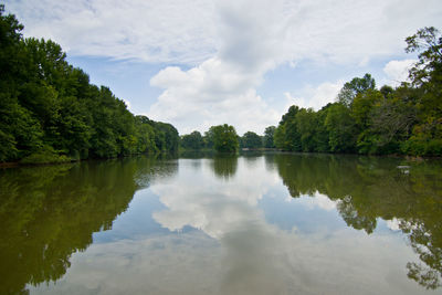 Reflection of trees in lake