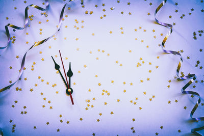 High angle view of flowering plant on table