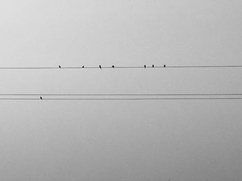 Low angle view of birds flying against clear sky