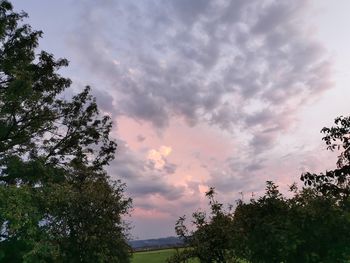 Low angle view of silhouette trees against sky during sunset