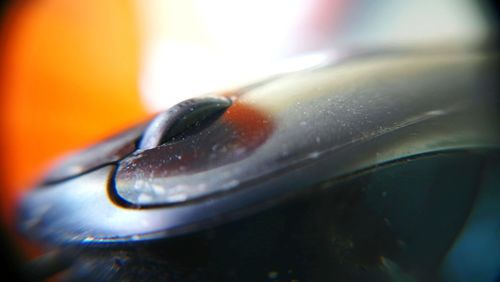 Close-up of water drops on metal